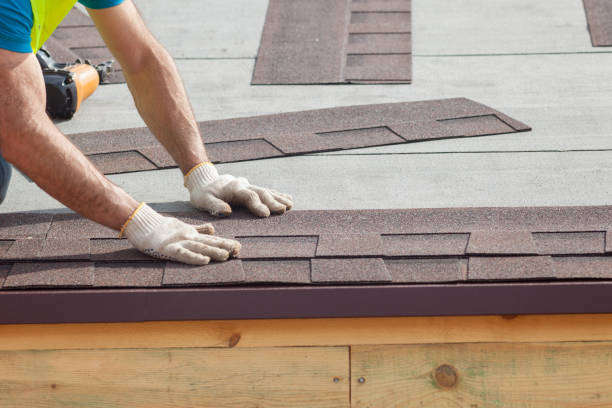 Best Solar Panel Roofing Installation  in Wagener, SC